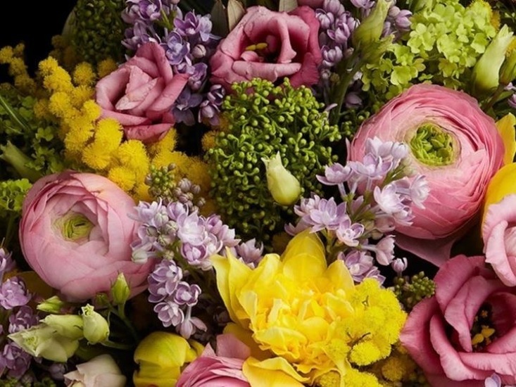 Designer's choice- colorful Designer's choice- colorful