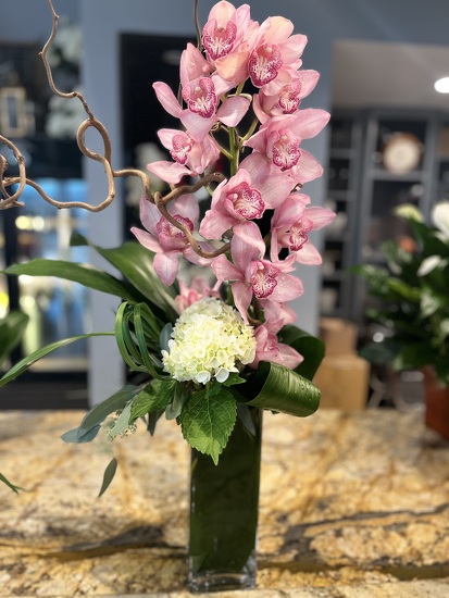 Enchanting Orchids Enchanting Orchids